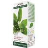 DR.GIORGINI presso SER-VIS Srl SALVIA ESTRATTO INTEGRALE 200 ML