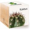 Feel Green Ecocube Kactus, Idea Regalo sostenibile (100% Eco Friendly), Grow Your Own/Set di Coltivazione, Piante nel Dado in Legno, Made in Austria
