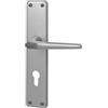 Alpertec Beschlag Tatjana PZ PIATTO porte d' ingresso porta a leva maniglia maniglie delle porte, 1 pezzi, 40404080