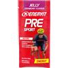 Enervit Sport ENERVIT Pre Sport Mirtillo Rosso 45 g Bustina