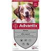 ELANCO ITALIA SpA Advantix Spot-On per Cani da 10 a 25 Kg - Pipette antiparassitarie - 4 Pipette monodose da 2,5 ml