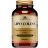 SOLGAR IT. MULTINUTRIENT SpA Solgar - Lipo Colina 100 Capsule Vegetali