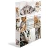 HERMA Set di 3 raccoglitori ad anelli formato A4, sottili, a 4 anelli, larghezza 35 mm, per bambini con motivo animale, cartella colorata con stampa interna, per ragazzi e ragazze