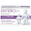 PALADIN PHARMA ENTEROLIFE 2 MLD 20F