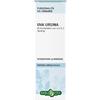 UVA Ursina Erba Vita Uva Ursina Fgl Sol Ial 50Ml 50 ml Soluzione