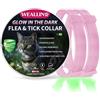 WEALLIN Luminoso Collare Antiparassitario per Gatti, Collare Antipulci per Gatti Regolabile e Impermeabile, Protezione Efficace per 8 Mesi per Gatti di Piccola Taglia, Medio e Grand, Rosa 2pz