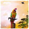 International Graphics - Immagine finita - Yves, KRIEF - ''Looking for Freedom''- 30 x 30 cm - Stampa diretta su acrilico