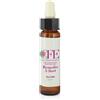 Cemon Luk Flowers 5 Fiori Rescue D4 Diluito Integratore 10 Ml