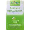 BOIRON Macerato Glicerinato - Aesculus Hippocastanum 60ml