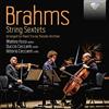 Brilliant Classics Brahms: String Sextets Arranged for Piano Trio by Theodor Kirchner