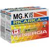 Pool pharma srl MGK VIS RICARICA PLUS 14 BUSTINE + 14 BUSTINE