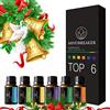 Mindbreaker Set di 6 oli essenziali floreali Top 6, per aromaterapia. Puri al 100%, alta qualità - Set regalo da 6 boccette da 10 ml: violetta, giglio, neroli, tulipano, bergamotto, Yilan Yilan