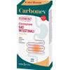 ERBA VITA GROUP SpA CARBON EV Ferment ERBA VITA 30 Capsule