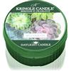 Kringle Candle Succulents 42 g