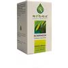 Erbex ECHINACEA 100 CAPSULE 350MG