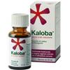 Schwabe pharma italia Dr.willmar Schwabe Gmbh&co - Kaloba Gocce orali, soluzione / 20 ml