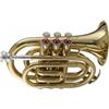 Stagg WS - TR245 - Tromba tascabile in Sib con custodia, 15,2 x 7,6 x 20,3 cm