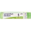 Boiron Lycopodium Clavatum 5ch 80 Granuli