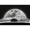 A.S. Création Carta da parati - Carta da parati "Night sky full moon" in Nero, Bianco e Grigio - Tessuto non tessuto XXL 384 x 260 cm