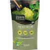 tina santé Tè matcha giapponese 200 grammi di prima qualità. Tè Matcha biologico. Tè Verde Matcha in Polvere Ideale per le tue preparazioni. Borsa biodegradabile. Cerimonia del matcha. Premium