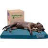 FurHaven Grande letto per cani in memory foam, impermeabile, per interni/esterni, stampa con logo, in tela di poliestere Oxford, con fodera rimovibile e lavabile, colore: laguna profonda, grande