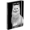 DRAEGER PARIS | Agenda tascabile A6 speciale Gatti in bianco e nero gennaio-dec 2024 | 12 foto | 11,5 x 16 cm | Copertina rigida marchio pagina | 7 lingue | 1 settimana su 2 pagine | Carta certificata
