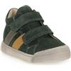 FALCOTTO 2F19 GAZER VL