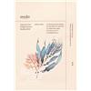 Ondo Beauty 36.5 Chok-Chok - Hyaluronic Acid & Algae Moisture boosting mask