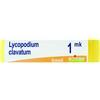 BOIRON Srl LYCOPODIUM CLAV.Dose MK