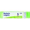 BOIRON Srl BOIRON BERBERIS VULGARIS 5CH 80GR 4G