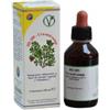 HERBOPLANET SRL Hs109 Uva Ursina Comp 100 Ml