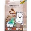 folia IDENA Ordinati Bearskin Cartone in Pelle 300 g/m², 25 x 35 cm, 9 Arco - Folia 5789