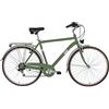 Alpina Bike Roxy, Bicicletta Trekking 6v Uomo, Verde Canna, 28 telaio:500mm