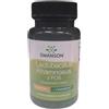 Swanson Lactobacillus Rhamnosus 60 capsule vegetali - Swanson