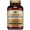 Solgar Fitowithania Integratore Tonico Adattogeno, 60 Capsule Vegetali