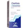 New Fa. Dem. Canfora New.fa.dem. 10% Soluzione Cutanea 100 ml per dolori muscolari e articolari