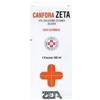 Zeta Farmaceutici Canfora Zeta 10 % Soluzione Cutanea Oleosa dolori articolari e muscolari 100 ml