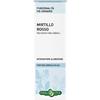 Erba Vita Group Mirtillo Rosso Foglie Soluzione Idroalcolica 50 Ml Ebv