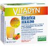 Phyto Garda Named Vitadyn Ricarica Alkalin 14 Bustine