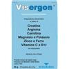 Revalfarma Visergon 16 Bustine 5,5 G