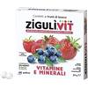 Zigulì Falqui Prodotti Farmac. Ziguli Vit Fruttibosco 40 Confetti