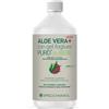 Specchiasol Succo Aloevera+ Aloe/mirtillo Rosso 1 Litro