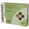 Amnol Chimica Biologica Linfolipase 30 Compresse