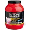 Enervit Gymline 100% Whey Concentrate Fragola 900 G