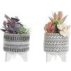 DKD Home Decor Pianta decorativa Cactus in resina polietilene (11 x 11 x 21 cm) (2 pezzi) (riferimento: S3020236)