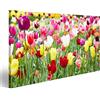 islandburner Quadro Moderno Fiori di Primavera Tulipani Multicolori Stampa su Tela - Quadro x poltrone Salotto Cucina mobili Ufficio casa - Fotografica Formato XXL
