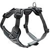 HUNTER pettorina per cani DIVO, Colore: grigio/grigio, ergonomico, traspirante e imbottito, regolabile in 5 punti, materiale riflettente 3M™ Scotchlite™, Taglia: XS