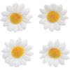 Glorex 6 3803 594 - Fiori di margherite, bianco D=20 mm/18 pezzi
