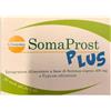 GISSOMA Somaprost Plus 20 Stick Gel da 5 ml - Integratore per la prostata