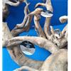 Aba Aquarium Aba radice legno select large 30-50 cm